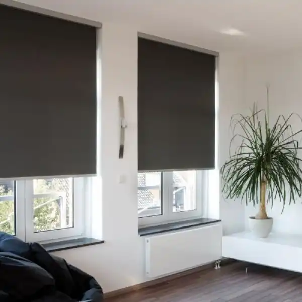 Рольшторы blackout